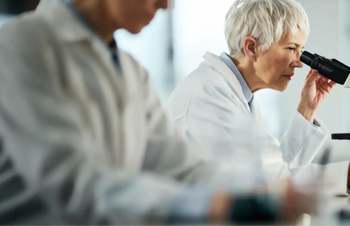 Osteoarthritis and the role of collagen: relieving joint pain with dietary supplements